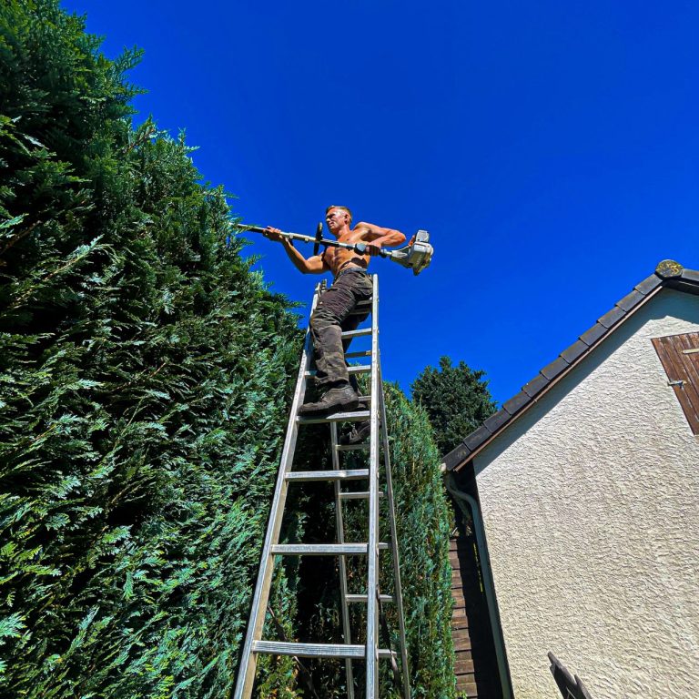 Heckenschnitt vom Profi Heckenschnitt vom Profi in Pinneberg – saubere Gartenpflege durch LDM Services